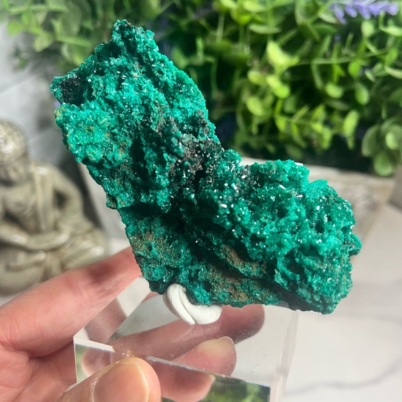 Dioptase - Picture 3 of 5